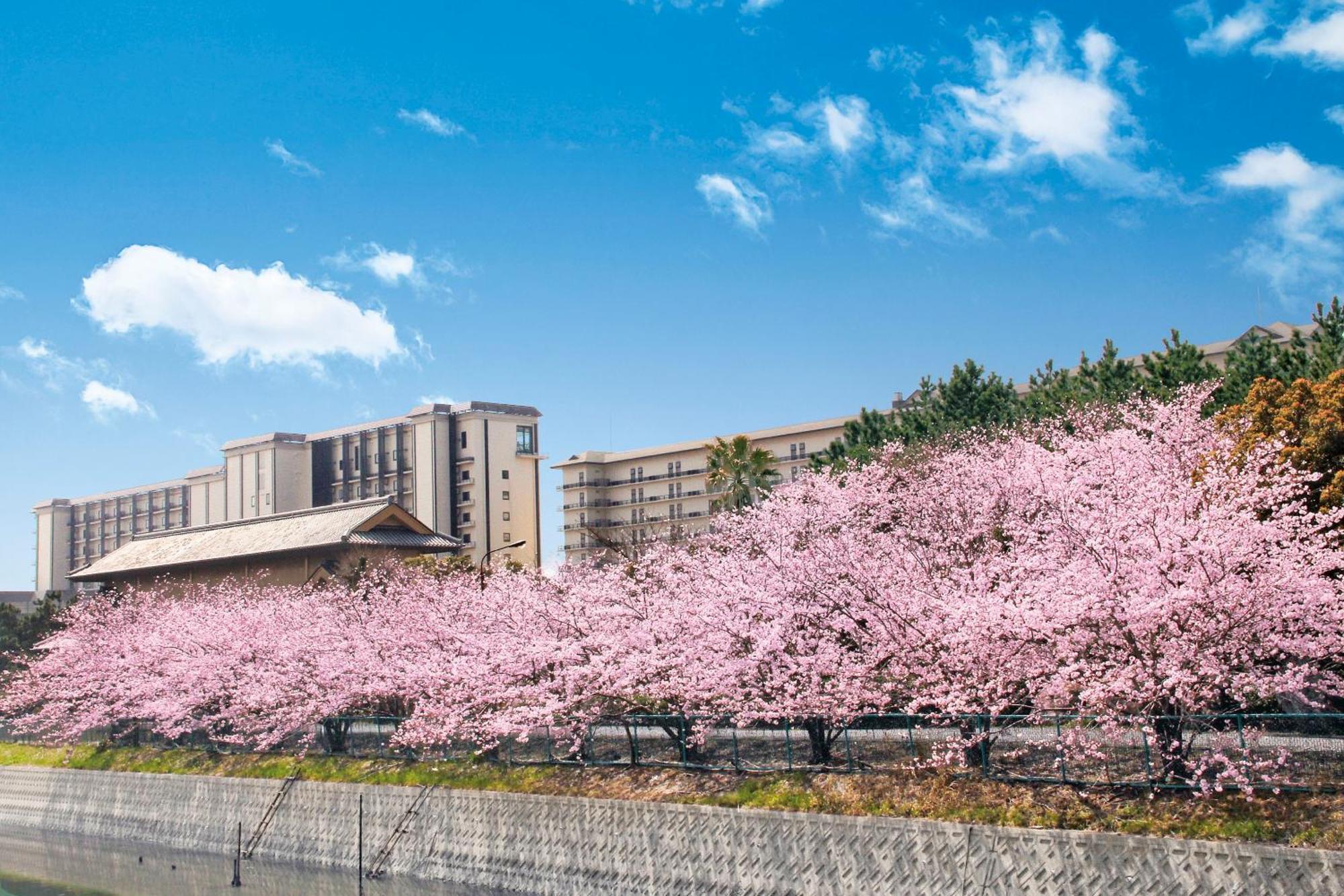 Ryugujo Spa Hotel Mikazuki Fujimitei Kisarazu Bagian luar foto